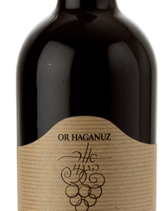 OR HAGANUZ Har Sinai