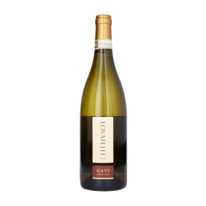LOVATELLI Gavi 24